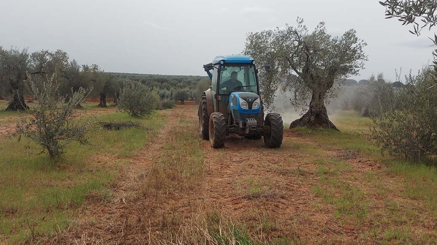 Comunidad de Labradores de Almendralejo