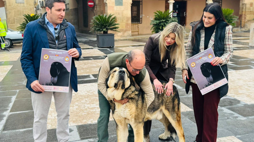 Presentación del Campeonato en Plaza de España en Lorca, con uno de los ejemplares de Mastín Español