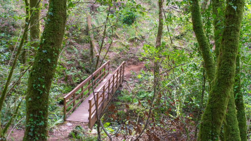 Uno de los puntos de las Fragas do Eume