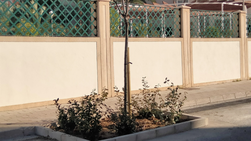 Alicante genera un itinerario de sombra con la plantación de arbolado