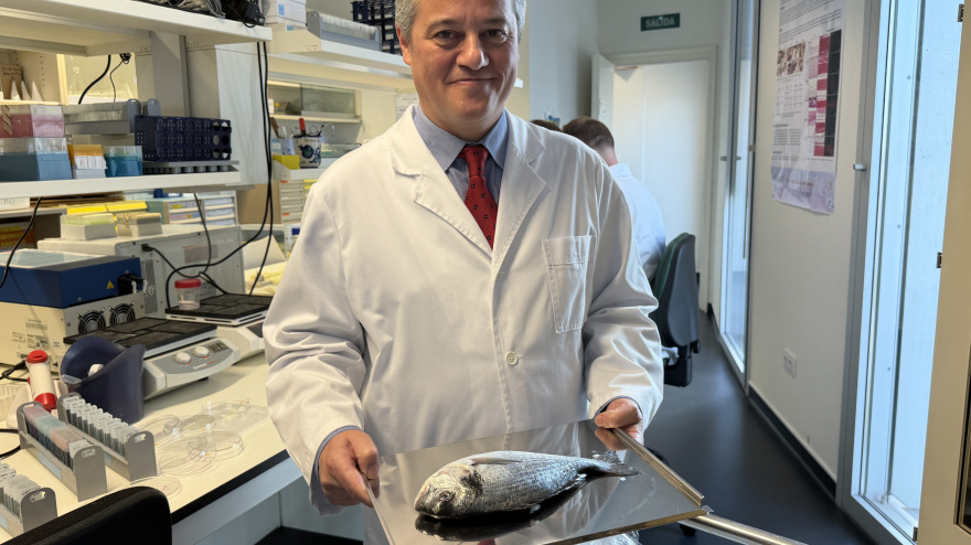 UGR Pescado para córneas