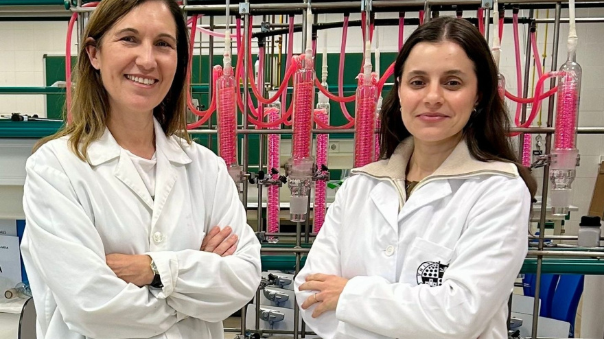 El proyecto HYDROGEL0LIVE3D, respaldado por la UE, desarrolla biohidrogeles a partir de celulosa extraída de desechos agrícolas para impulsar la economía circular