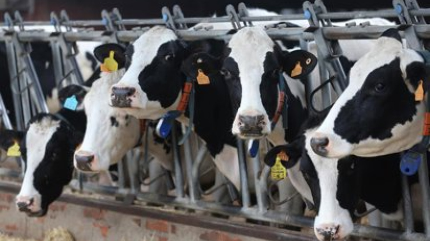 El sector agroganadero es uno de los sectores expuestos