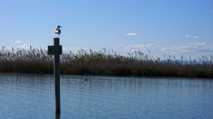La Albufera de Valencia