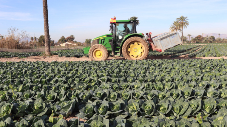 Foto archivo de un tractor en campo de cultivo