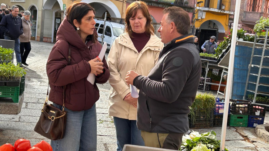 Las concejalas de Empresa y de Mercados del Ayuntamiento de Plasencia, Belinda Martín y Ana Gallego, han visitado esta mañana los puestos de frutas y verduras del mercado de los martes en la Plaza Mayor