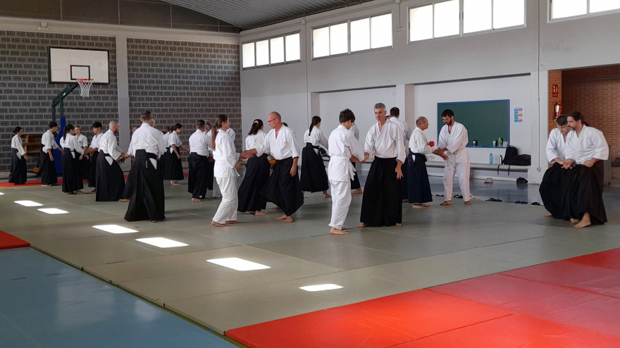 Motril acoge un seminario de Takemusu Aikido