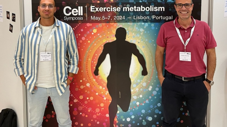 Encuentran una bacteria en el intestino humano que es capaz de mejorar la fuerza muscular