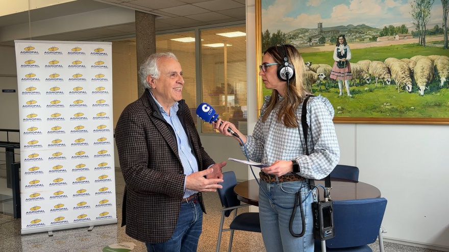 La producción de avena como oportunidad contra la despoblación: el plan de Agropal para que Castilla y León no se vacíe