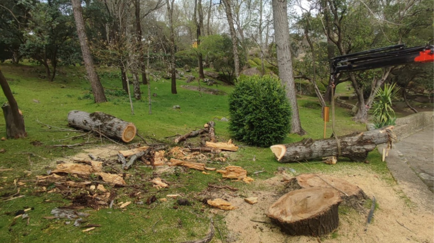 Actuaciones en el parque de Los Pinos en Plasencia