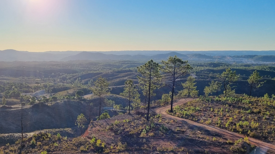 (Foto de ARCHIVO)Reforestación de Atalaya Mining en su entorno de la Cuenca Minera de Huelva.REMITIDA / HANDOUT por ATALAYA MININGFotografía remitida a medios de comunicación exclusivamente para ilustrar la noticia a la que hace referencia la imagen, y citando la procedencia de la imagen en la firma21/3/2025