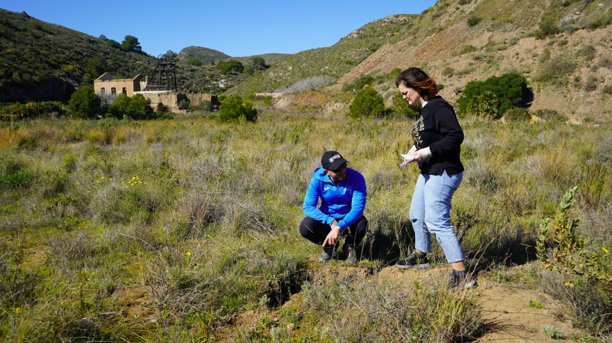 Proyecto regeneración Sierra Minera