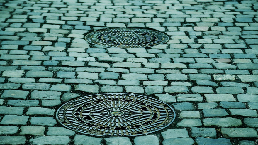 Valladolid se prepara para una primavera "peligrosa" por la esperada proliferación de plagas