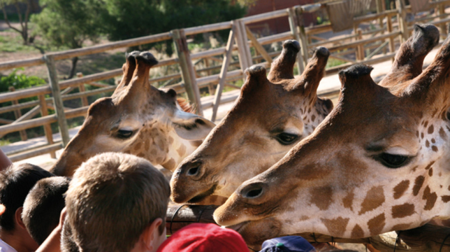Terra Natura Benidorm