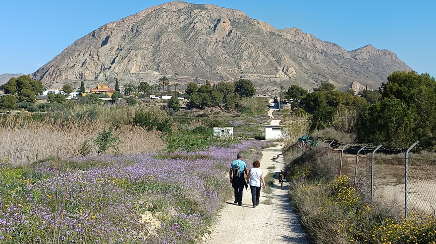 Ruta Vallonga. Senda sobre canal del Taibilla