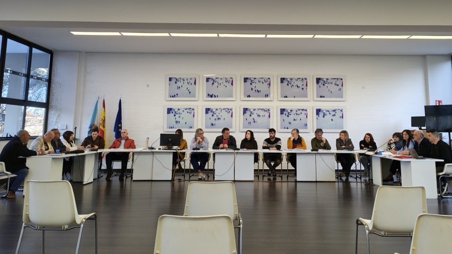 Un momento del pleno celebrado este lunes en Fene