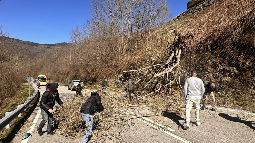 El fuerte viento derribó árboles que cortaron carreteras en el Ripollés ( Girona)