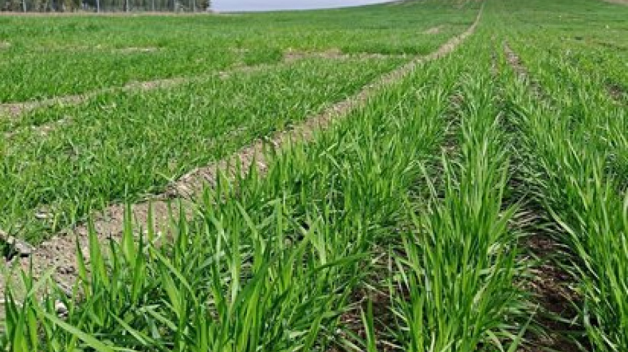 El campo pide medidas