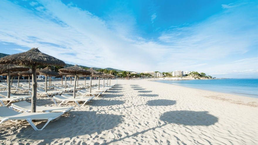 Es Carregador, Palmanova