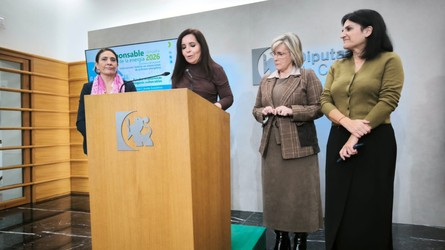 Ayudas Diputación a la pobreza energética