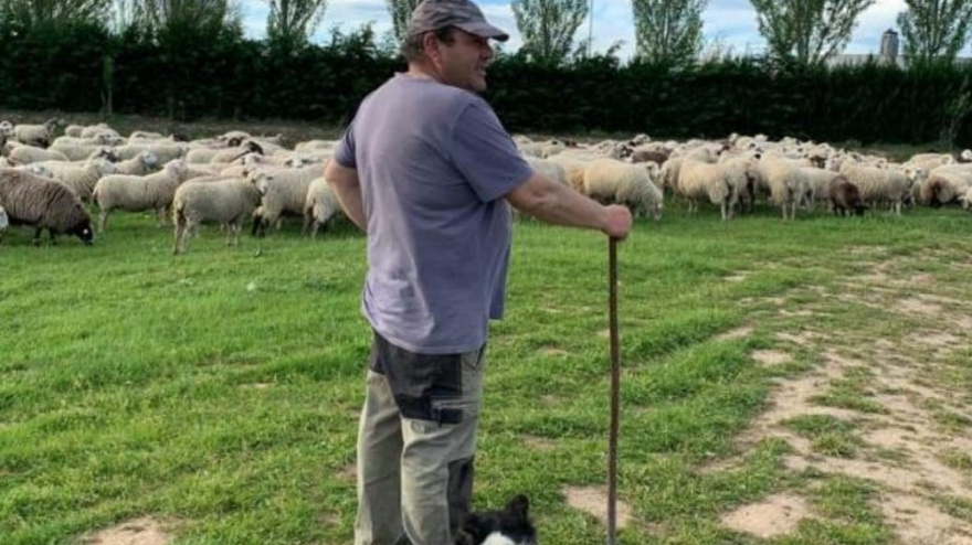 “Se han visto cuatro o cinco veces, y además a plena luz del día”