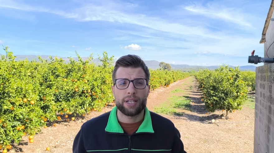 10 NEGOCIOS RURALES que puedes empezar con menos de 3.000€