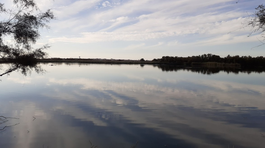 Se espera una buena temporada para el baño este verano