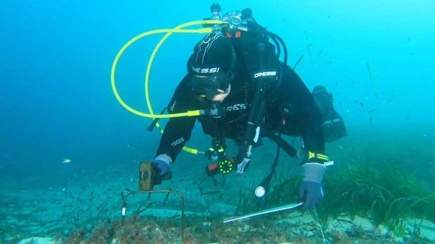 posidonia cala blanca