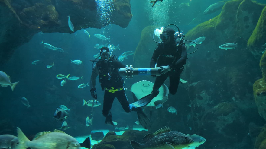 Dos buzos introducen la cápsula del tiempo en el Gran Oceanario del Acuario de Gijón