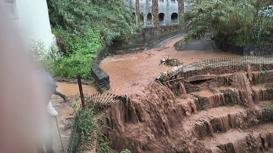 Therese desata el caos en Gran Canaria
