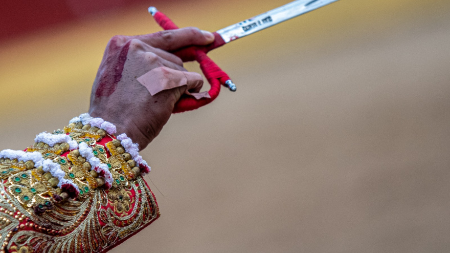 Circuito de Novilladas de la Comunidad de Madrid