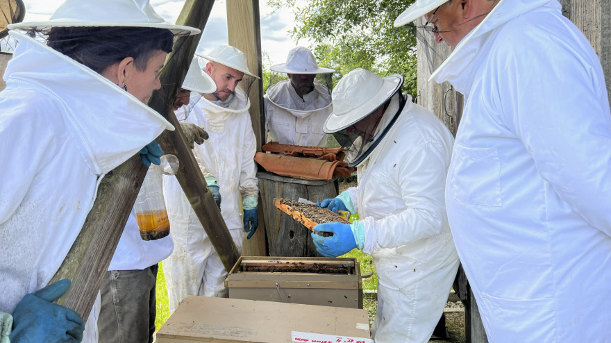 Foto de archivo de un curso de apicultura en la Casa do Mel, en Goente