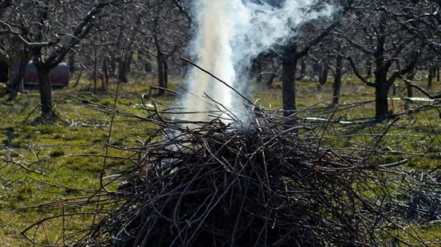 Foto de archivo de restos de una poda a punto de ser quemados
