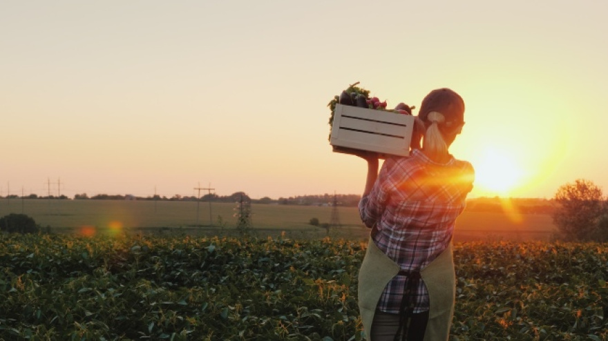 Mujer en el campo