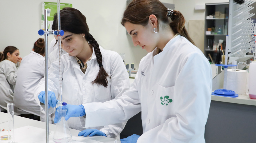 Alumnos del Programa del Diploma IB haciendo una práctica