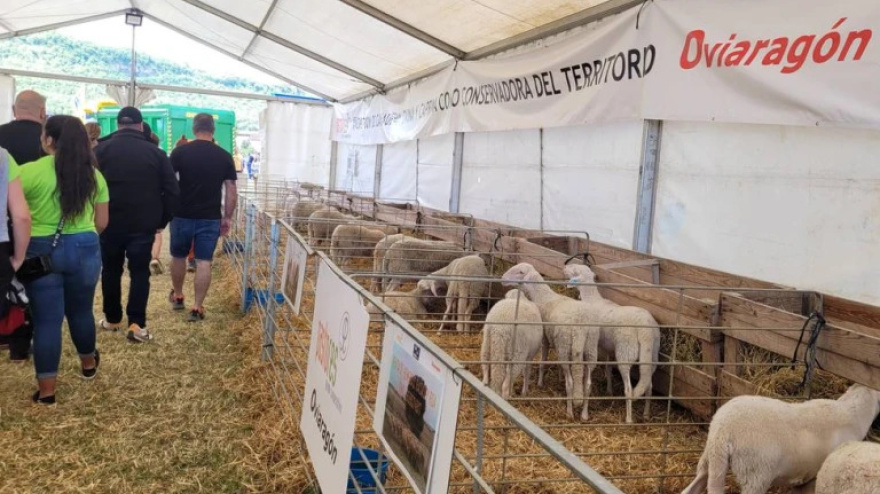 Expoforga en Puente La Reina de Jaca