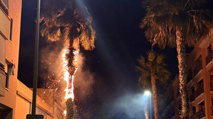 Este lunes se ha declarado un incendio en Dénia que ha afectado a una palmera y a un almacén, movilizando a dos dotaciones de bomberos