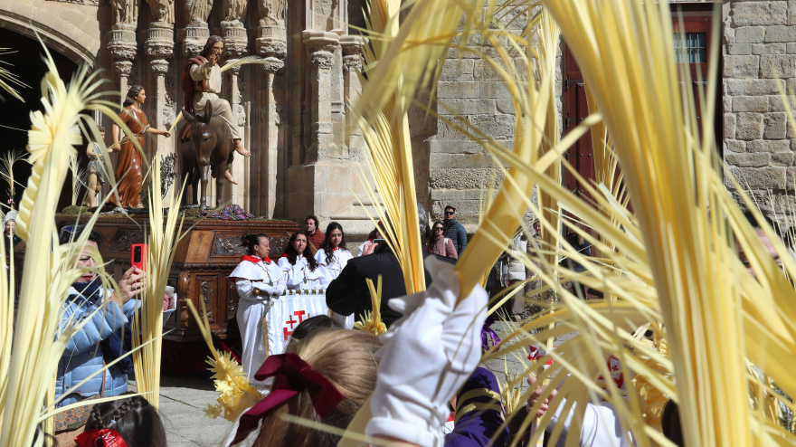 Procesión de la Borriquilla el Domingo de Ramos en Palencia