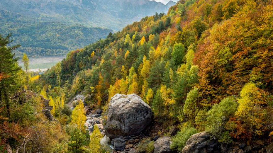 Barranco Gorgol- Bosque Betato en Valle Tena