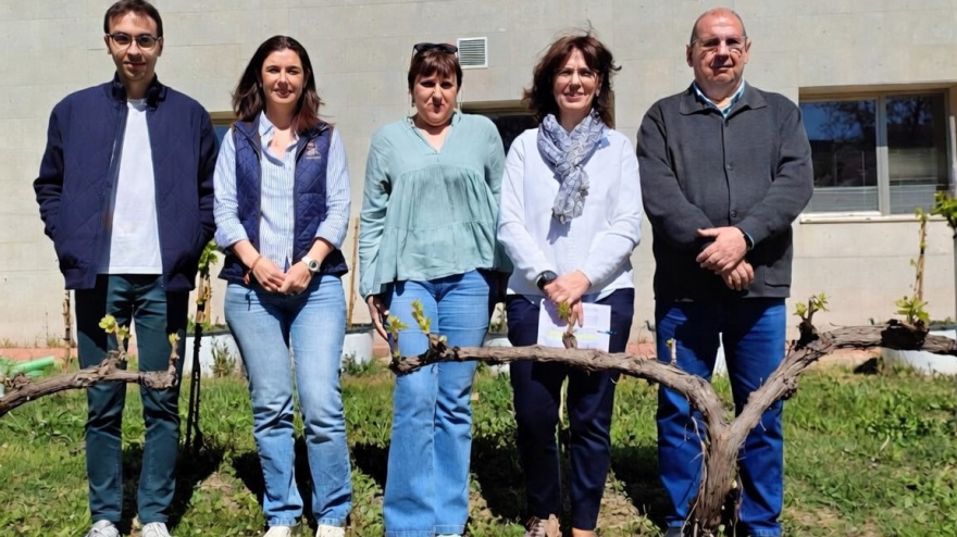 Grupo de investigación de Suelos Vitícolas de la UCLM