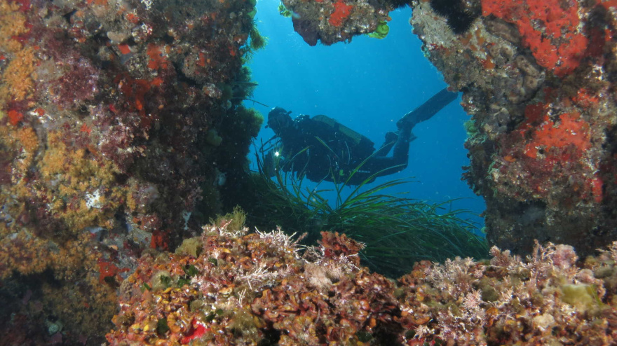 La reserva marina de Alicante que se ha convertido en referente internacional