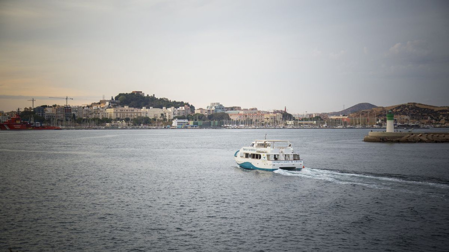 La temperatura acompañará para la visita en catamarán