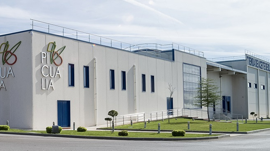 Picualia lleva a Jaén a lo más alto: consigue el premio al mejor aceite de oliva de España