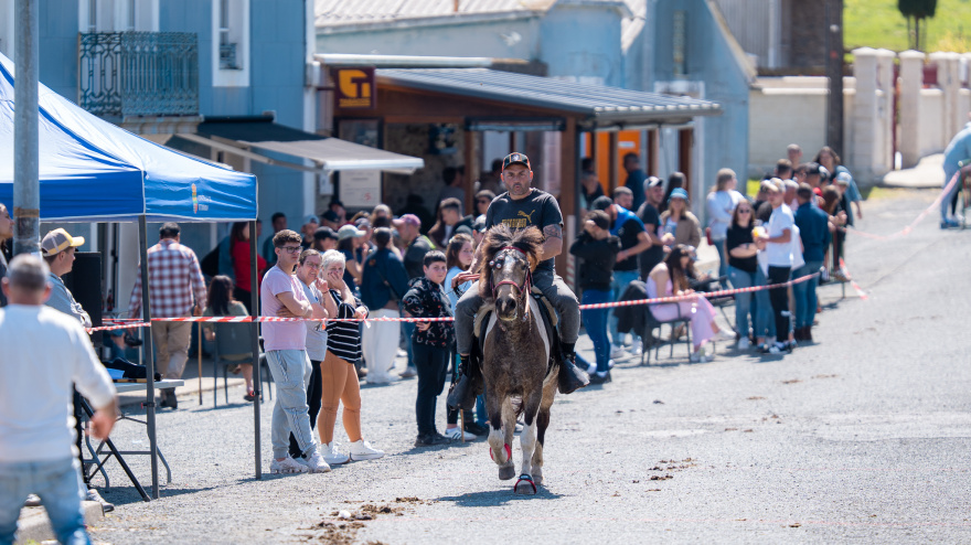 Un momento de la feria celebrada este domingo en el lugar de A Barqueira