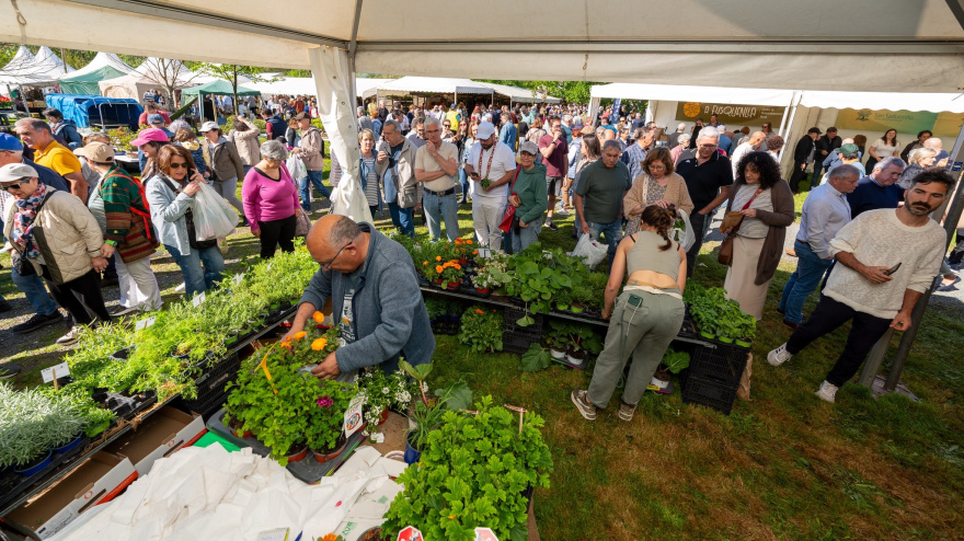 Un momento de la 'Feira da Plantación' de Sa Sadurniño