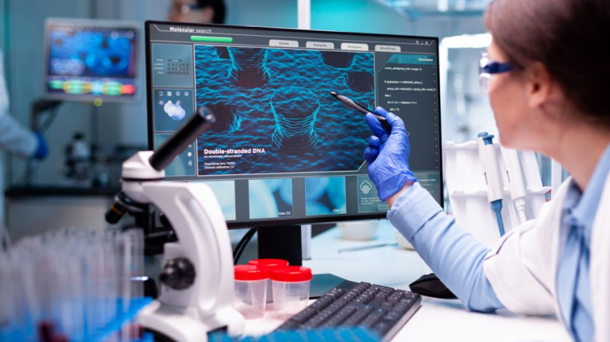 Sector biosanitario den Navarra