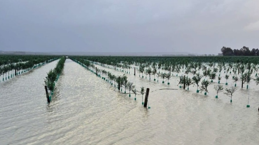 José Luis Ramírez, Secretario General ASAJA Cádiz | Ayudas tren de borrascas