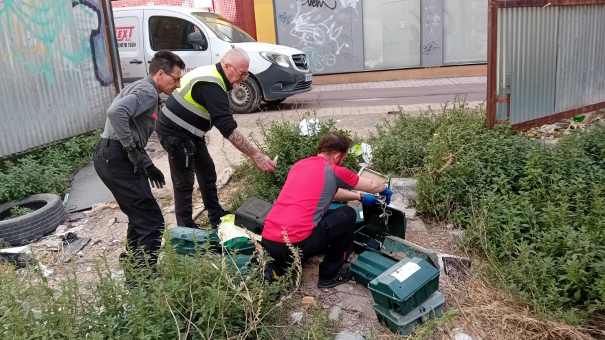 Técnicos municipales actuando de urgencia contra la plaga de ratas