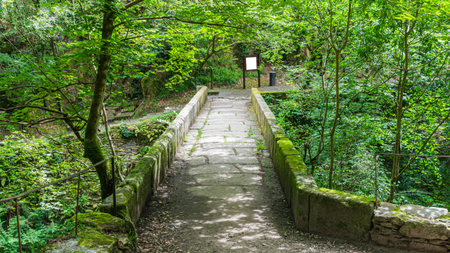 Foto de archivo de una zona de las Fragas do Eume