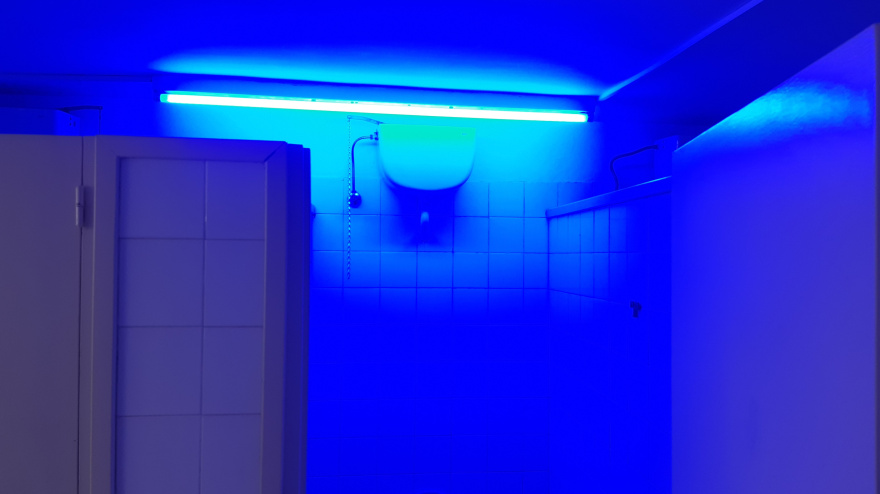 Esta es la luz instalada en el lavabo de la Universitat de Lleida, para impedir que los toxicómanos puedan inyectarse droga
